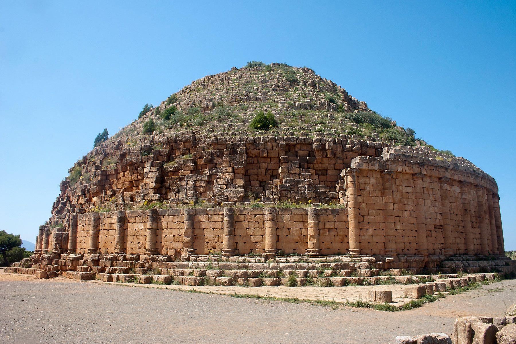 Tipasa
