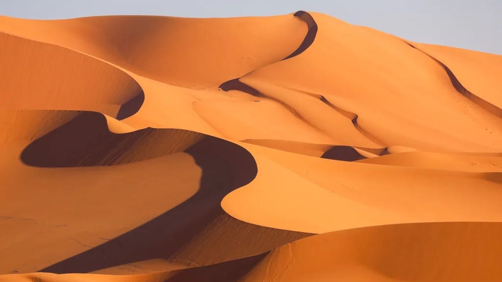 Ouled Djellal